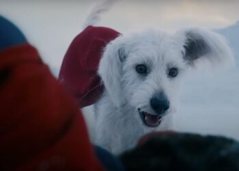 James Gunn’s Dog Loves Watching Himself in ‘Superman’